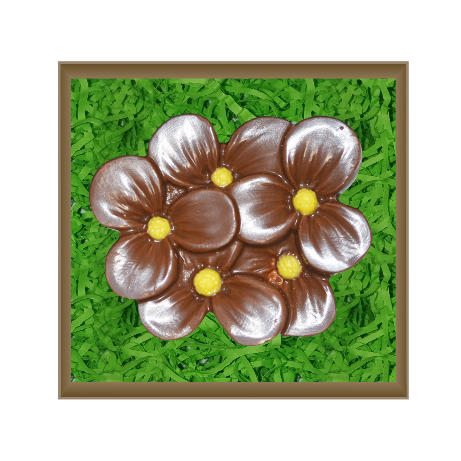 Полевой цветок молочный шоколад